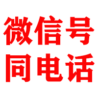 西区金鑫追账公司